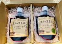 なつはぜジャム（レギュラー・低糖）2点セット　ニコニコ菅野農園　【飯舘村】