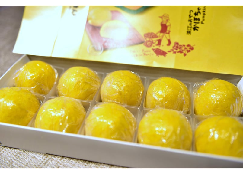 浪江町】浪江のおやつ かぼちゃまんじゅう 10個入 冷凍便 送料無料