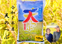 米　天のつぶ　１０kg　令和７年産　福島県産　単一原料米　ごろくファーム　【南相馬市】
