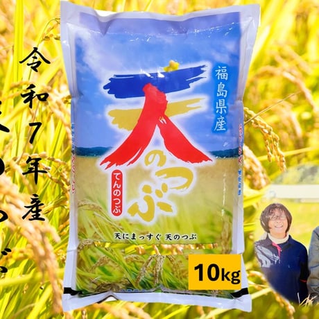 米 天のつぶ 10kg 令和7年産 福島県産 単一原料米 ごろくファーム