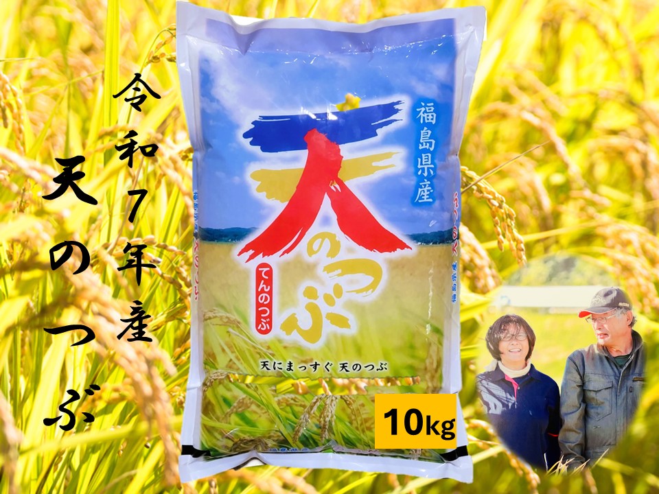 米 天のつぶ 10kg 令和7年産 福島県産 単一原料米 ごろくファーム