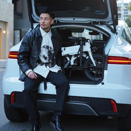 RICHBIT CITY ASSIST 電動アシスト自転車 型式認定取得済