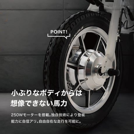 【1台限定！】RICHBIT CITY （スノーホワイト）特定小型原付モデル 電動キックボード