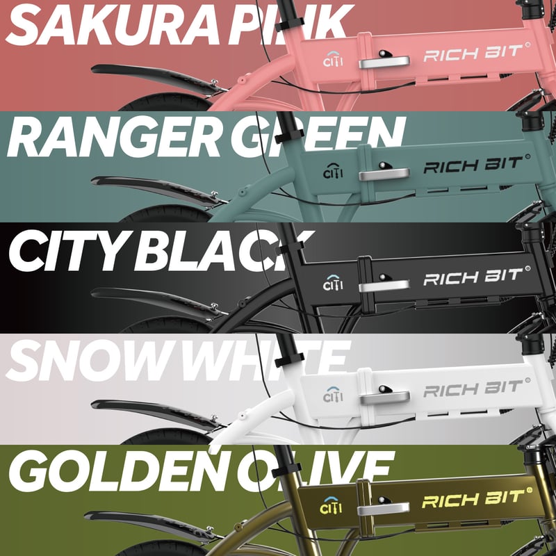 1台限定！】RICHBIT CITY （スノーホワイト）特定小型原付モデル 電動