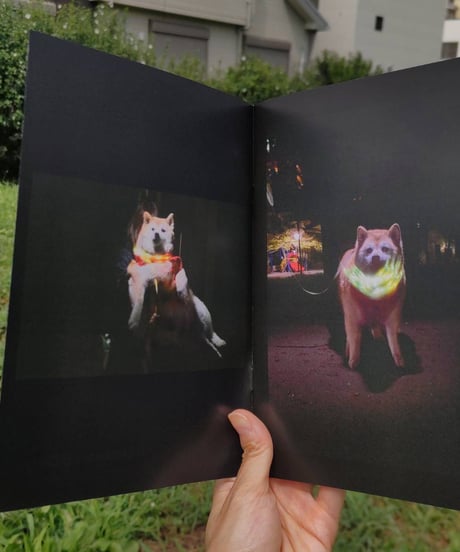 Illuminated Dogs