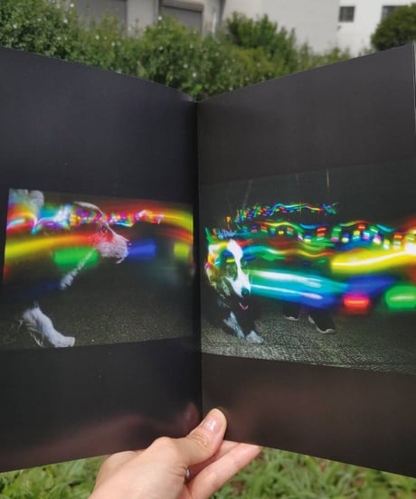 Illuminated Dogs