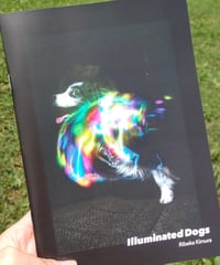 Illuminated Dogs