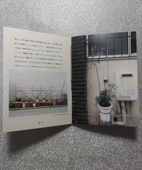 植木鉢鑑賞を楽しむZINE【棒】