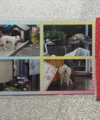 ラブリー飼われ犬ステッカー
