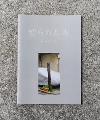 切られた木