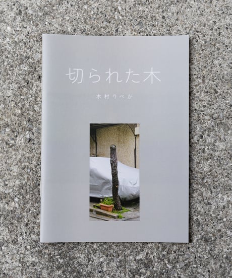 切られた木