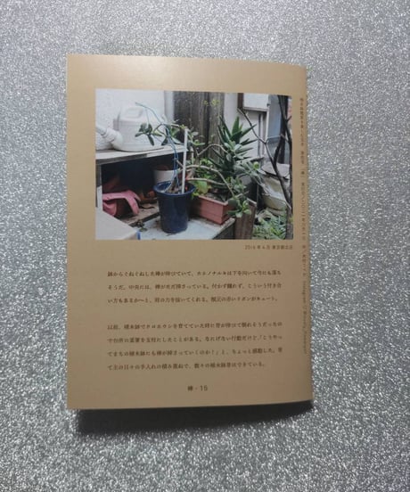 植木鉢鑑賞を楽しむZINE【棒】