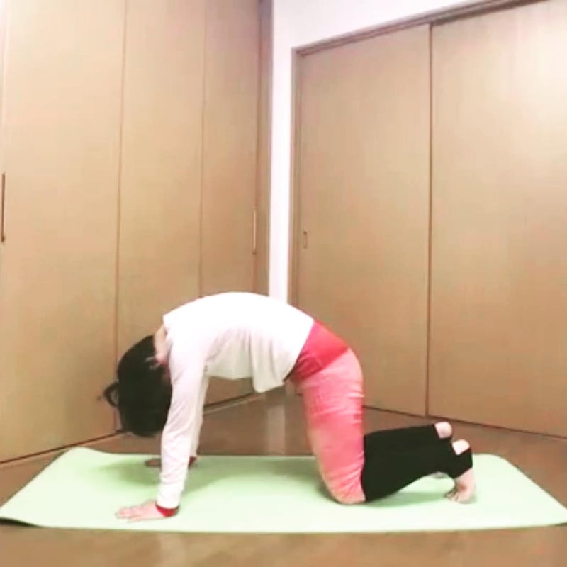 3/19火曜 オンラインZOOMヨガ90分 | まゆみ先生のヨガ教室