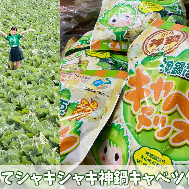 神鍋特産＞神鍋高原キャベツチップ5個セット | 道の駅神鍋高原