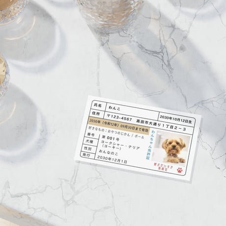【犬猫・ペット名刺】わんちゃん免許証 │ Canva無料版テンプレート