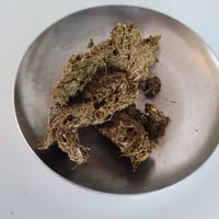 DRIED TRIPE GUM（乾燥胃袋のガム）