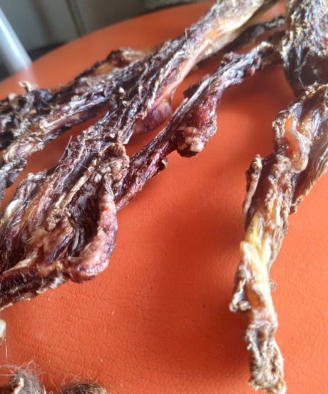 Venison fascia hardring gum(鹿の背筋ガム)