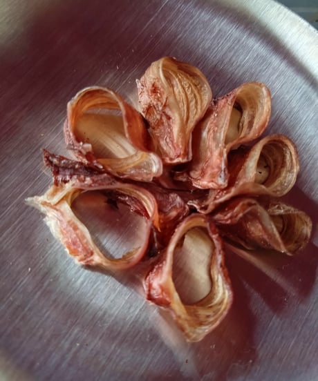 Trachea Bits【トラキア・ビッツ】