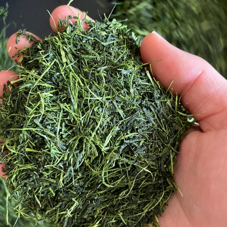 【新茶】煎茶｜LF｜2026年の季節のお茶をお届けします