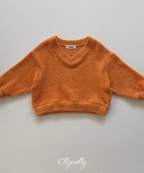 【ellymolly】Chic Brush V-Neck Knit