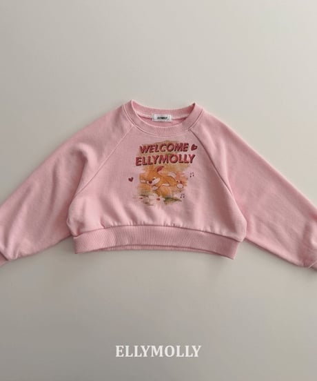 Welcome Rabbit Sweatshirt