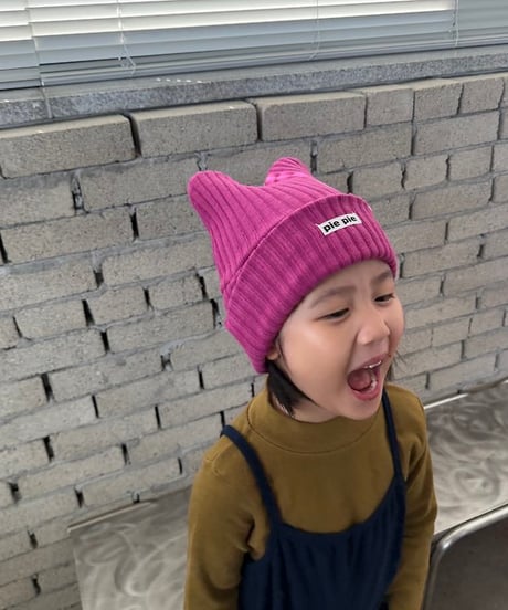 【pie】26 Winter Cat Ear Beanie