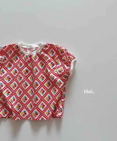 【Hei】fruits T