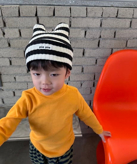 【pie】26 Winter Cat Ear Beanie