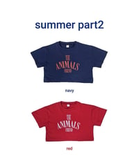 【bymimi】lettering t