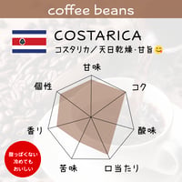 コーヒー豆 / 🇨🇷 COSTARICA コスタリカ／天日乾燥・甘旨 😋 [200g]