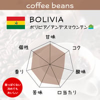 コーヒー豆 / 🇧🇴 BOLIVIA ボリビア／アンデスマウンテン⛰️ [200g]