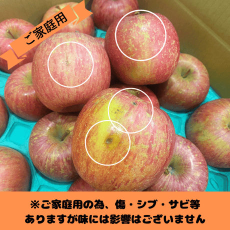 サンふじ　ご家庭用　約3キロ
