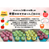 おすすめりんごBOX　3kg