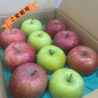 サンふじ・王林　ご家庭用　約３キロ