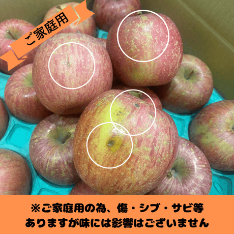 サンふじ・王林　ご家庭用　約３キロ