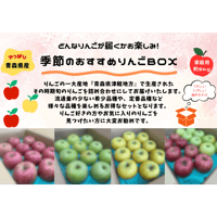 おすすめりんごBOX　５kg