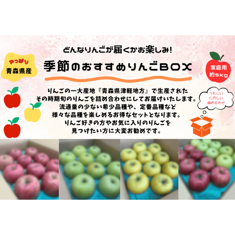 碧りんご様 リクエスト 5点 まとめ商品 クーポン10％引き！即日発送 青森 りんご 5kg箱 家庭用/訳あり ぐんま