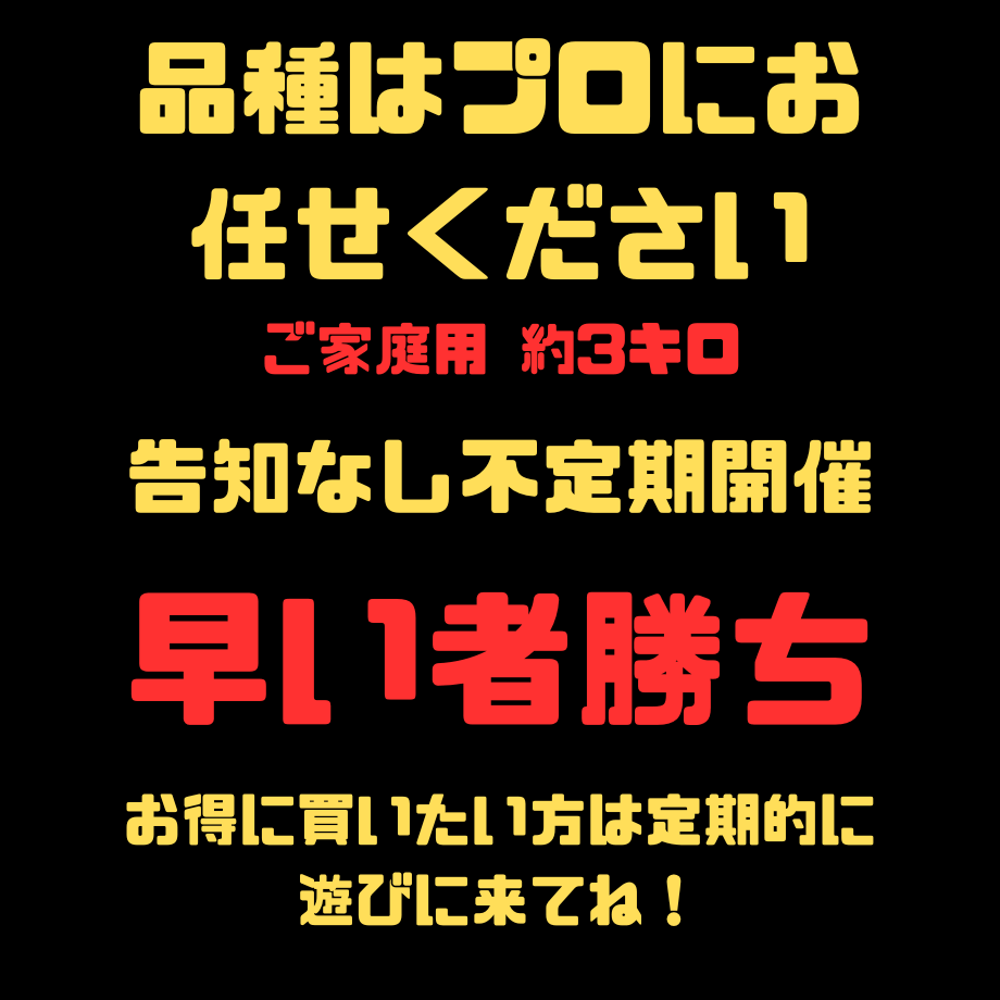 65ef9eb7816e612e4dde366e