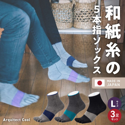 和紙×コラーゲンナイロン アルキテクト・クール3足入り(3色/L寸