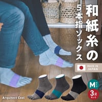 和紙×コラーゲンナイロン アルキテクト・クール3足入り(3色/L寸