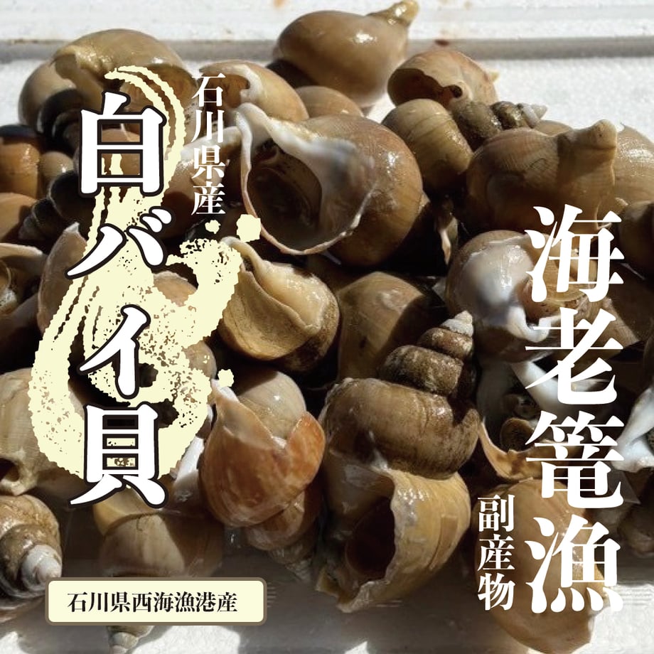 65d3428f3ffd8e0a452c1275