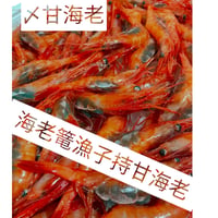 ☆海老篭漁（〆甘海老）☆  子持ち甘海老　　100尾