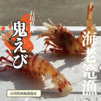 ☆海老篭漁獲れたて☆　鬼海老　5尾