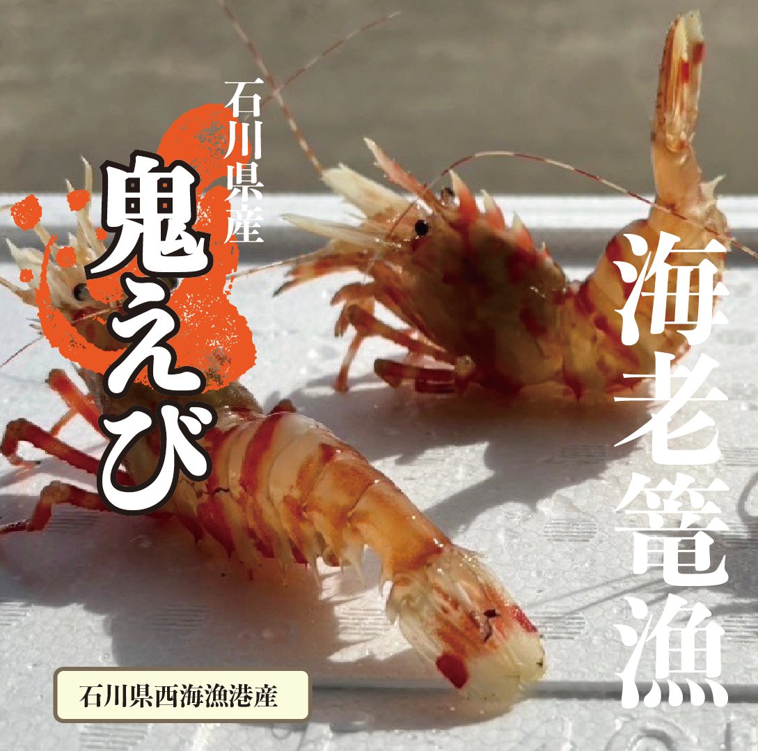 厄災を祓いし「漁業神」　えびす 状態A-〕厄災を祓いし「漁業神」えびす【MSR】{D-TB06/MSR02