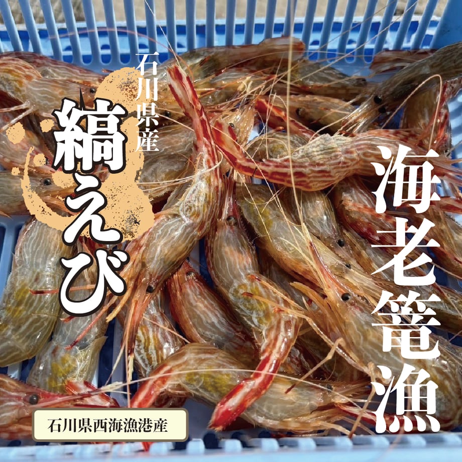 65d33f06835a670c9390e72c
