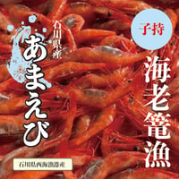 ☆海老篭漁獲れたて☆　子持甘海老　100尾