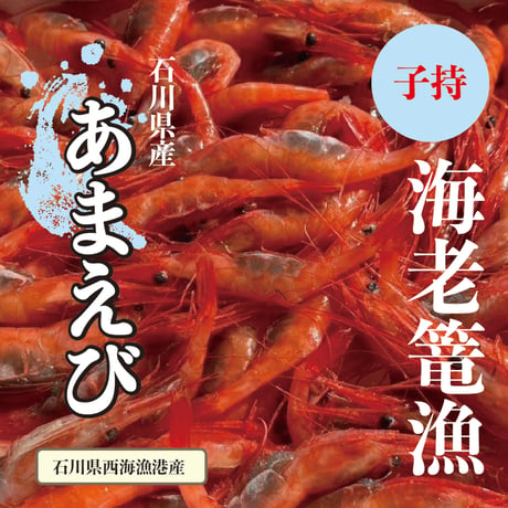 ☆海老篭漁獲れたて☆　子持甘海老　100尾