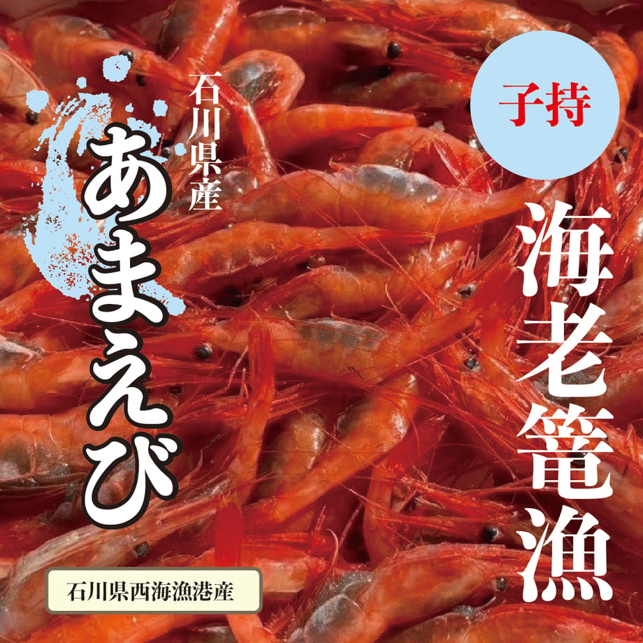 65d337ed835a670b8590f2e0