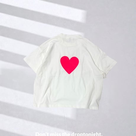 blank canvas   shortT