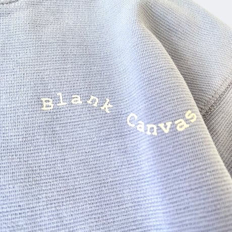 blank canvas T
